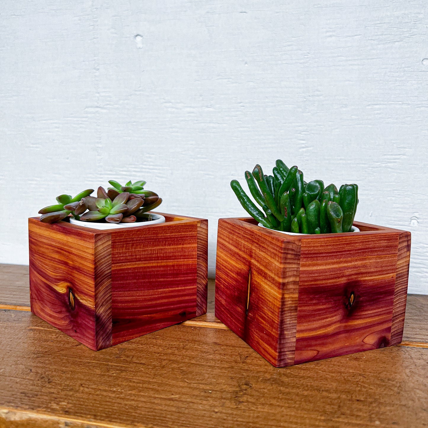 Cedar Desktop Planter